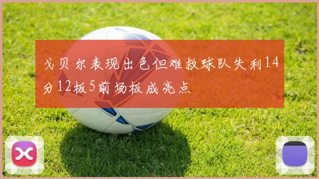 戈贝尔表现出色但难救球队失利14分12板5前场板成亮点