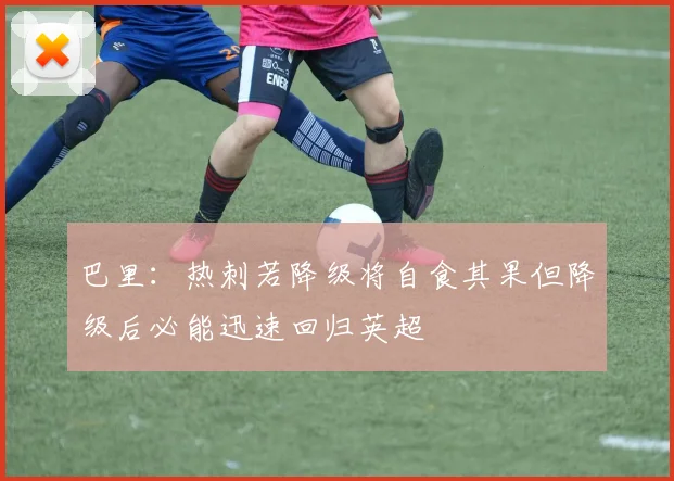 巴里：热刺若降级将自食其果但降级后必能迅速回归英超